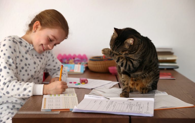 Kaethe Singer, accompanied by her cat, studies at home during the spread of the coronavirus disease (COVID-19), in Jugenheim
